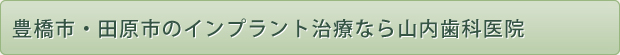 豊橋市・田原市のインプラント治療なら山内歯科医院